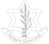 Israel Defense Forces