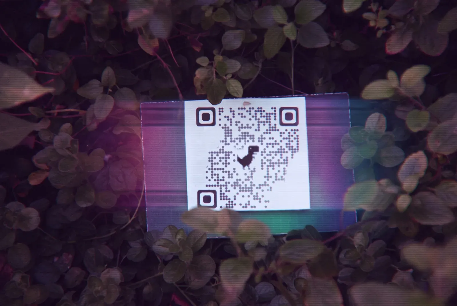 A station QR card in the Cyber Race